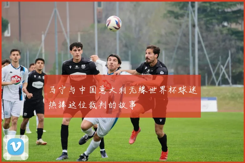 马宁与中国意大利无缘世界杯球迷热捧这位裁判的故事